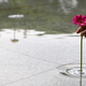 Image for article titled Most Beautiful Items: March 30-April 5, 2013